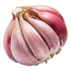 Manufacturers Exporters and Wholesale Suppliers of Fresh Garlic Coimbatore Tamil Nadu